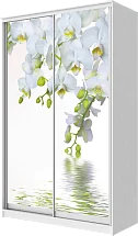 Шкаф-купе 2-х дверный с фотопечатью Белая орхидея 2200 1500 420